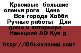 Красивые  большие оленьи рога › Цена ­ 3 000 - Все города Хобби. Ручные работы » Для дома и интерьера   . Ненецкий АО,Куя д.